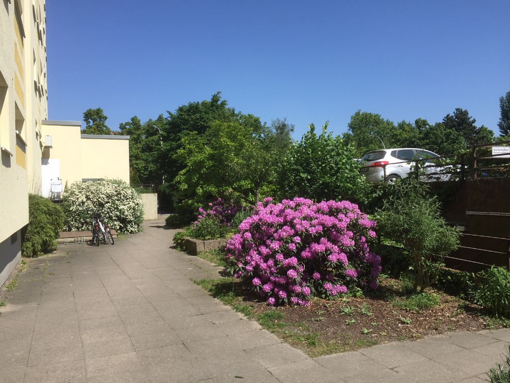 Vermietung Wohnen auf Zeit Spandau Brunsbütteler Bamm 311 Wohnzimmer